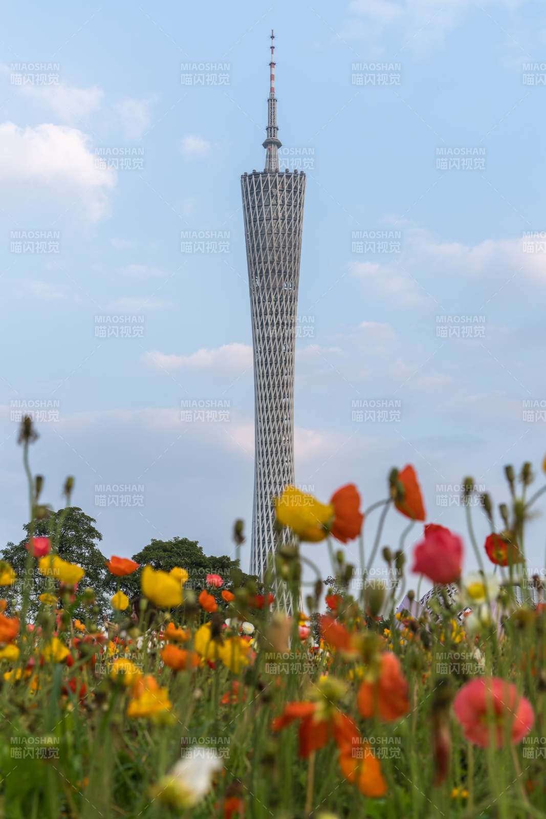 花海中的广州塔图片