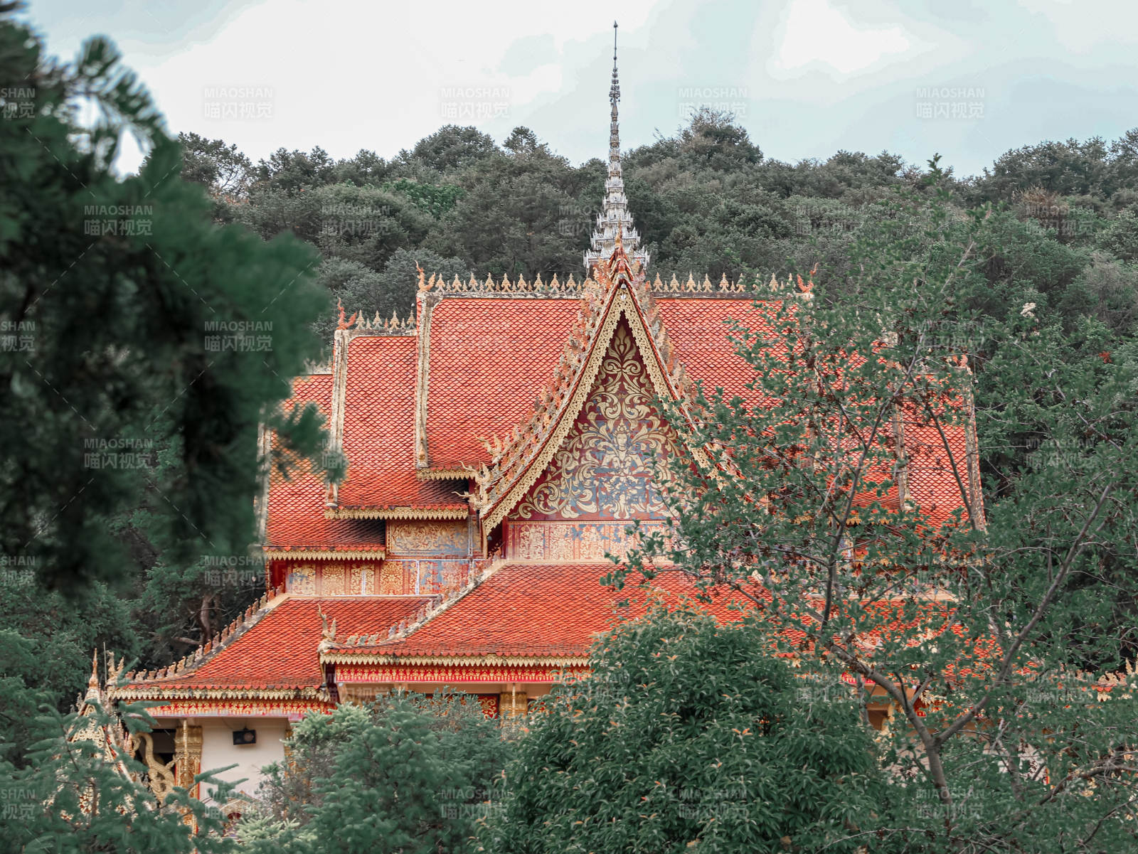 寺庙红顶隐林间图片