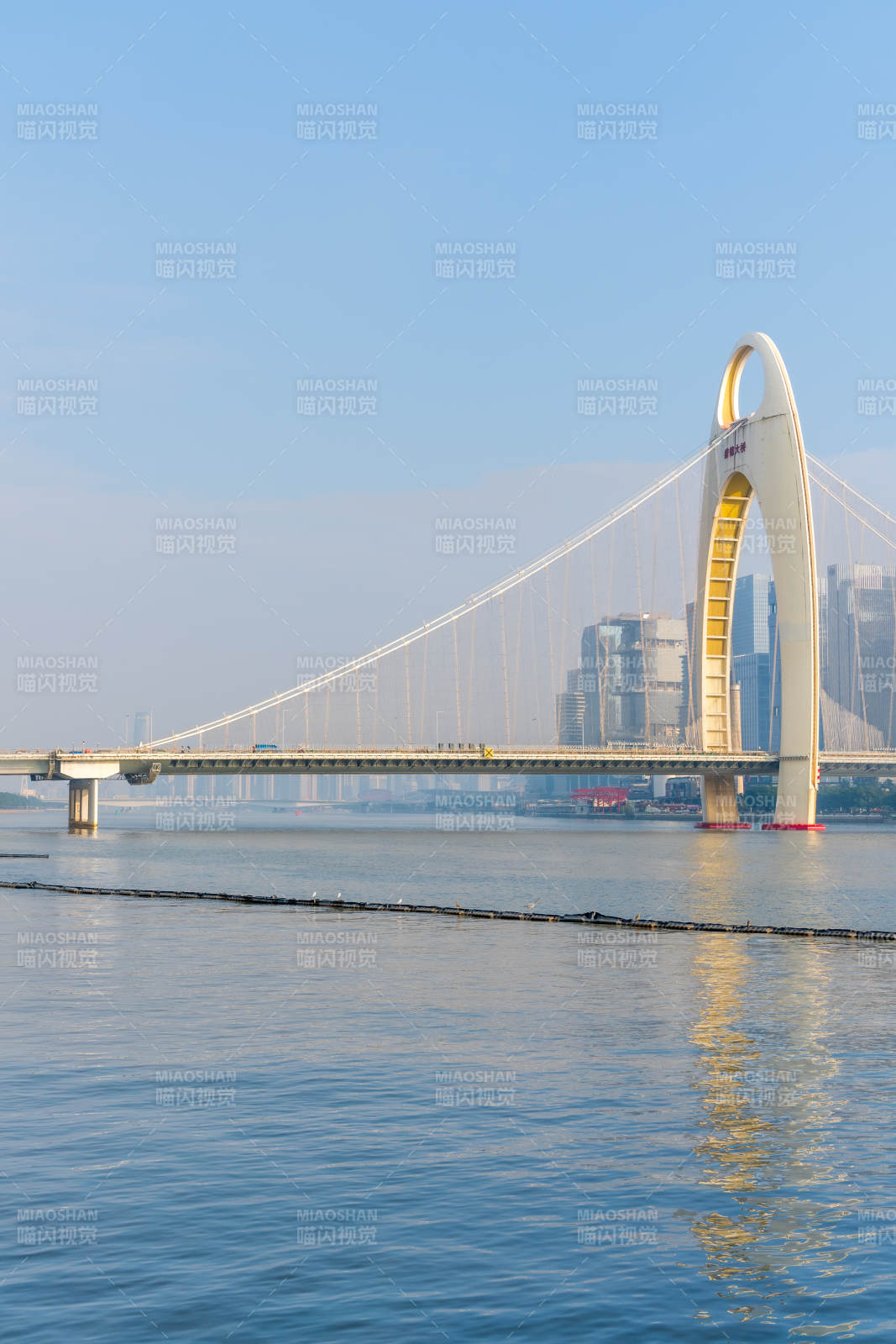 珠江上的广州塔桥图片