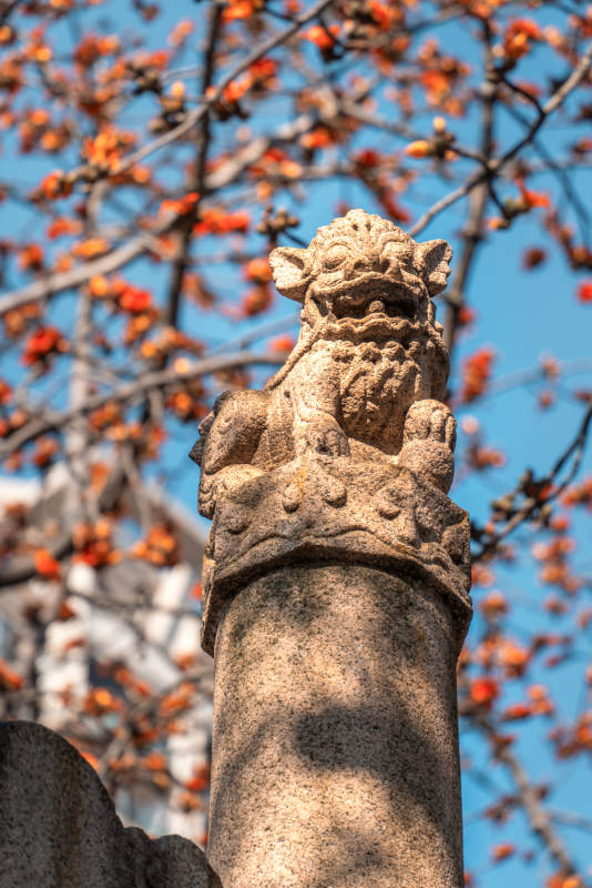 石狮子与秋叶图片