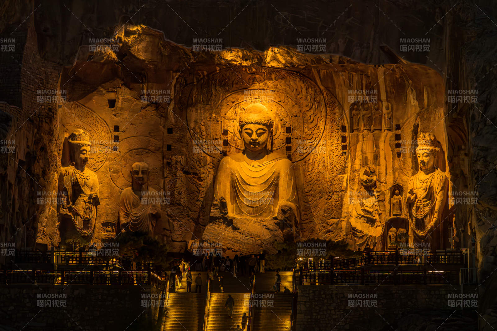 卢舍那大佛夜景图片