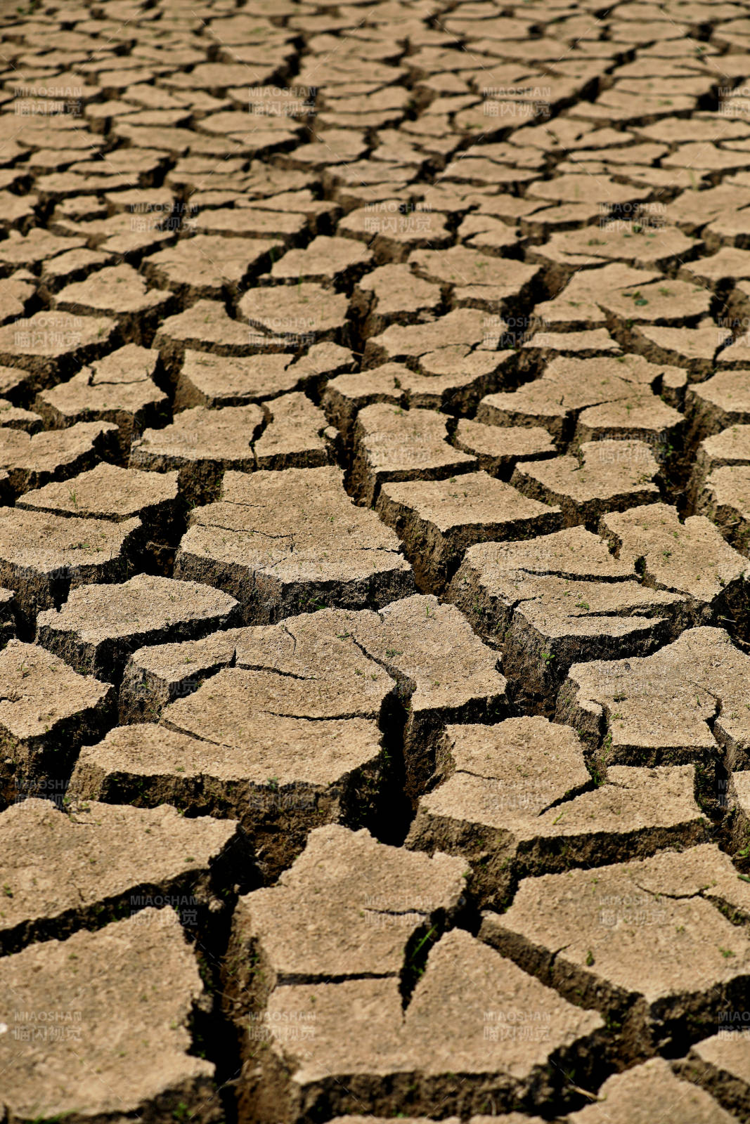 干旱的土地图片