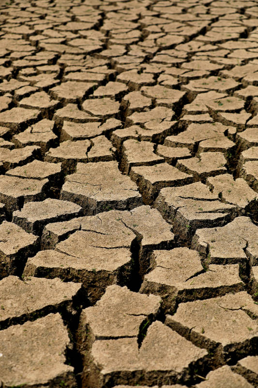 干旱的土地图片