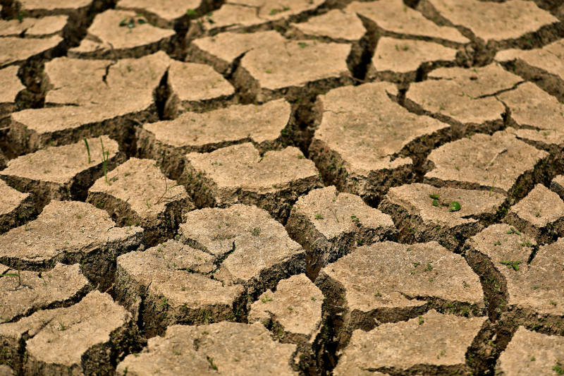 干旱的土地图片