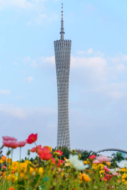 广州塔花海图片