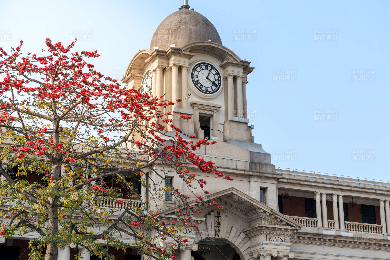 粤海关博物馆红花映蓝天图片