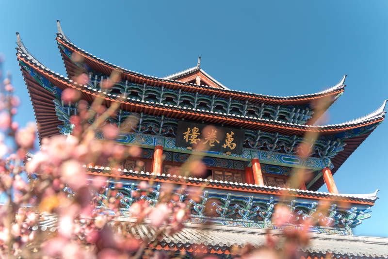 丽江木府古建筑与花图片