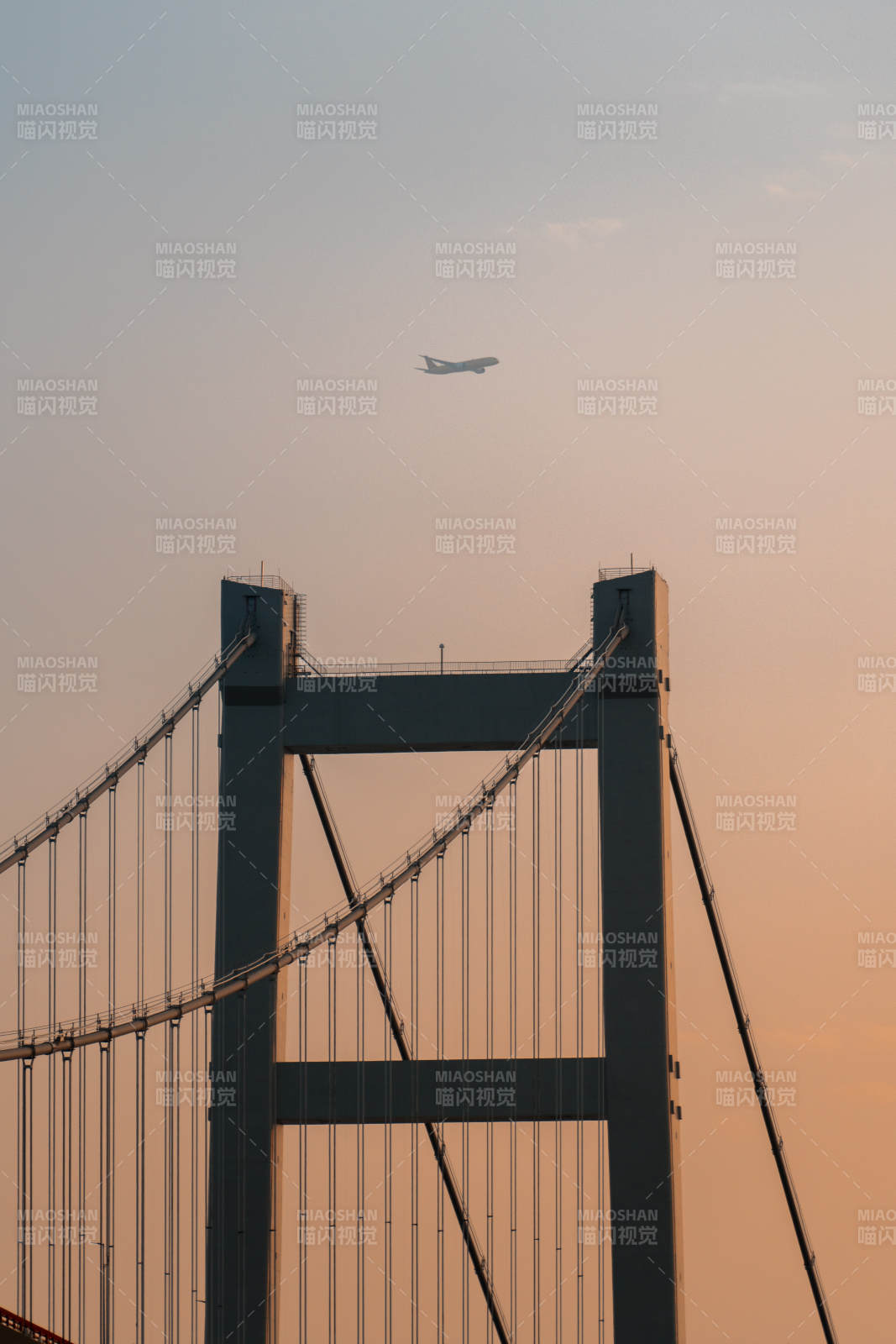 夕阳下的大桥与飞机图片