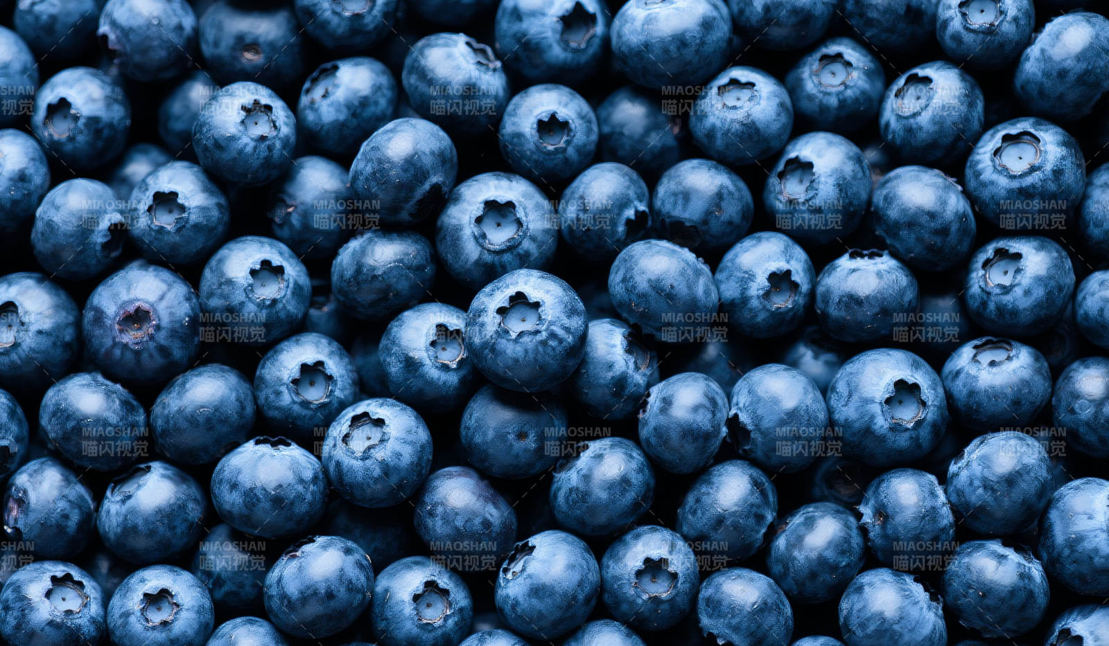 新鲜蓝莓背景图片