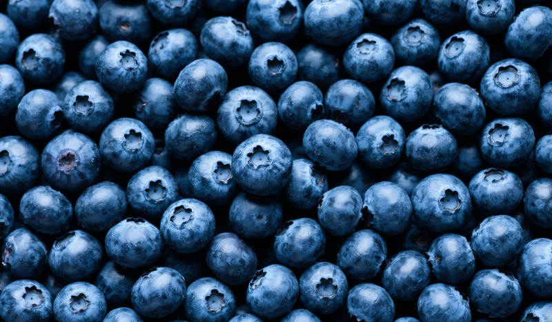 新鲜蓝莓背景图片
