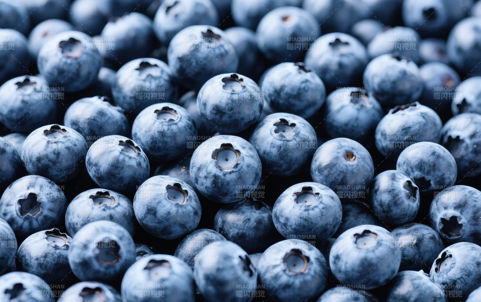 新鲜蓝莓背景图片