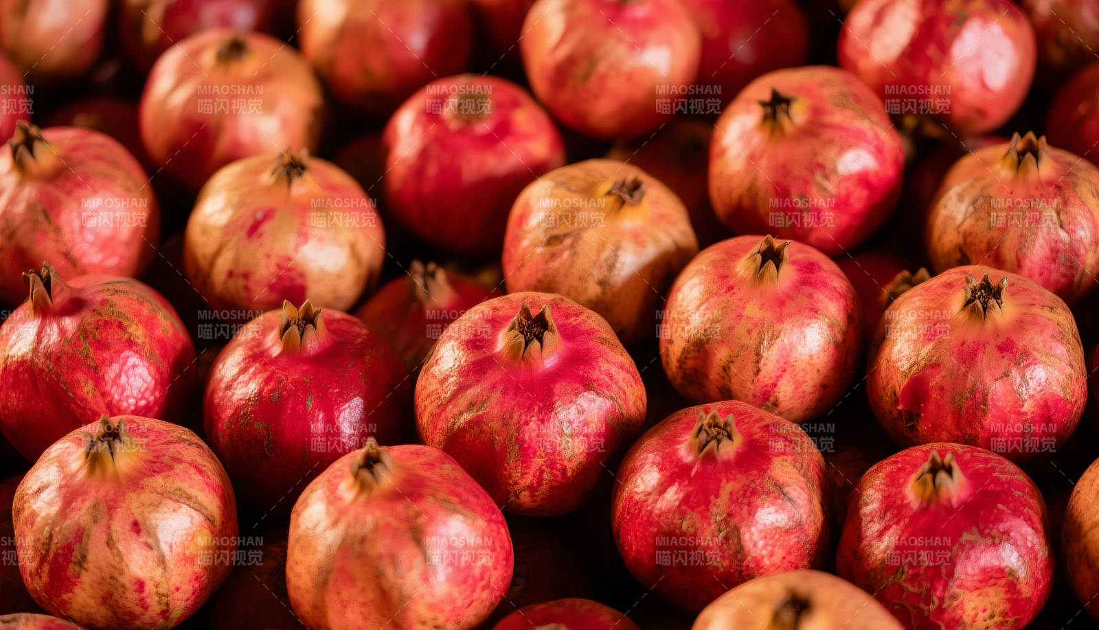 石榴丰收图图片