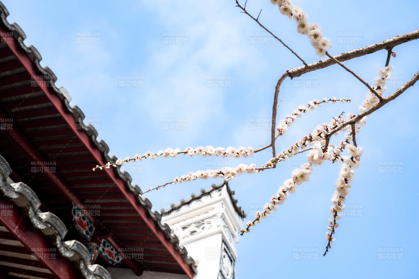 春日花开古建筑图片