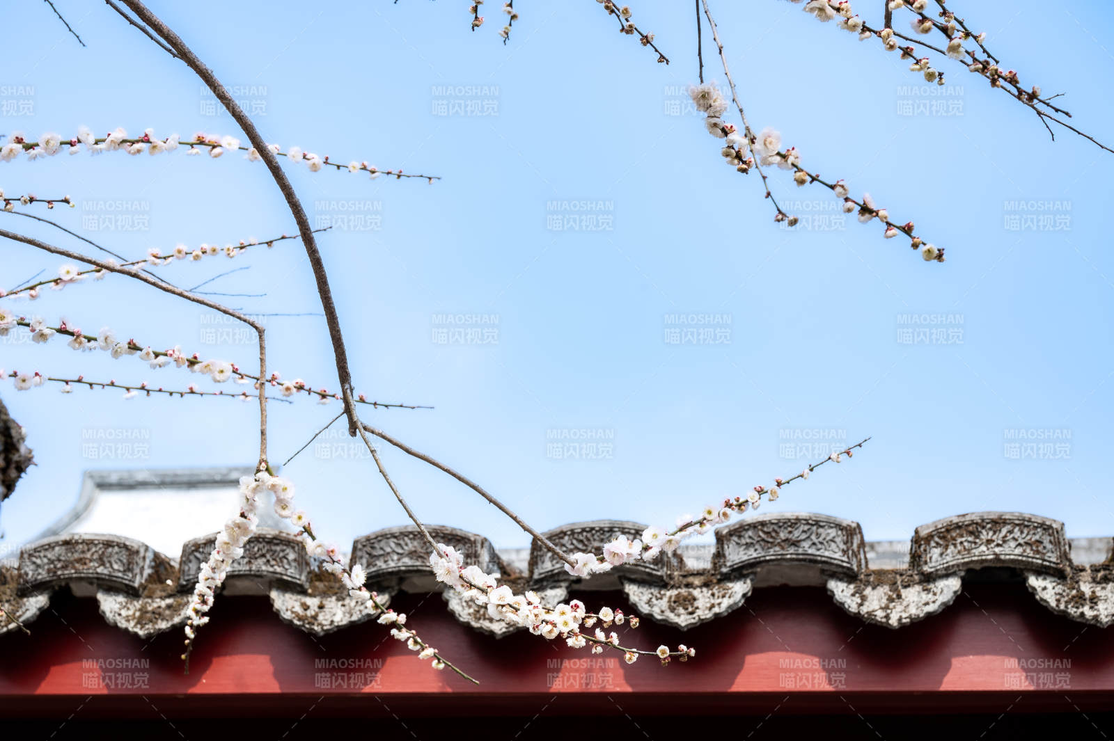 春花烂漫 古建筑屋顶图片