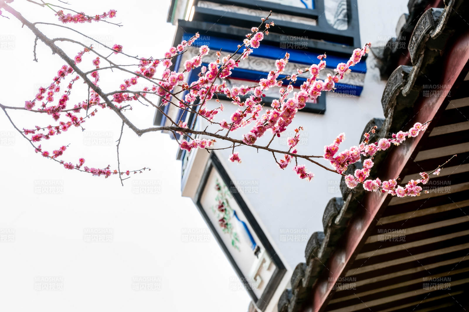 梅花映古建筑图片