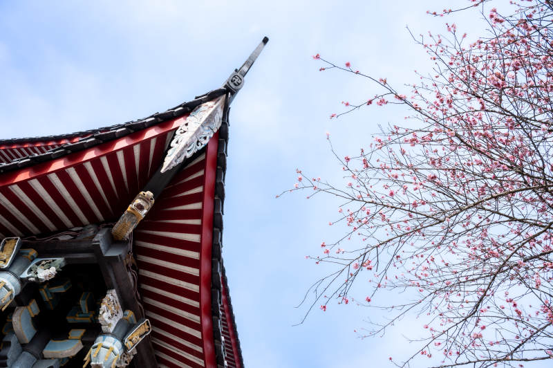 寺庙屋檐与樱花图片