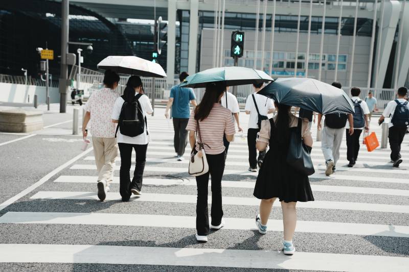 夏日行人过马路图片