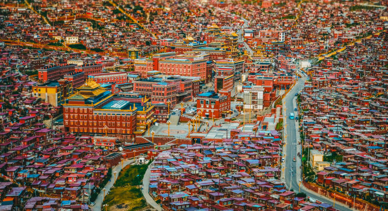 佛学院的红色海洋图片