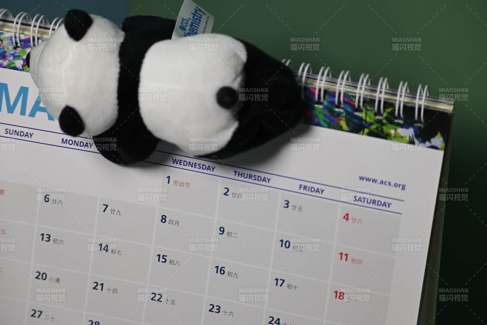 熊猫玩偶的日历陪伴图片