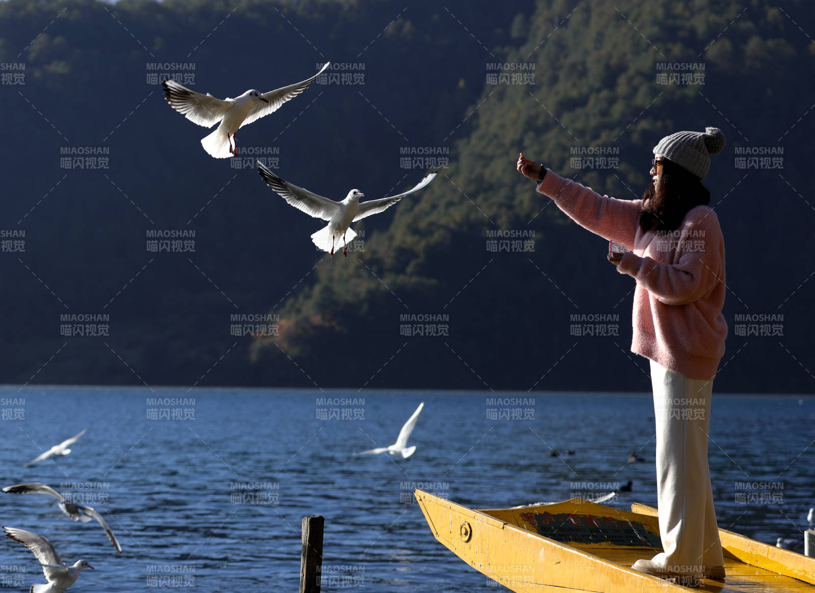 泸沽湖喂海鸥的女孩图片