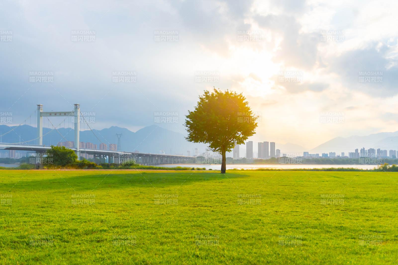 孤树映日 桥城相望图片