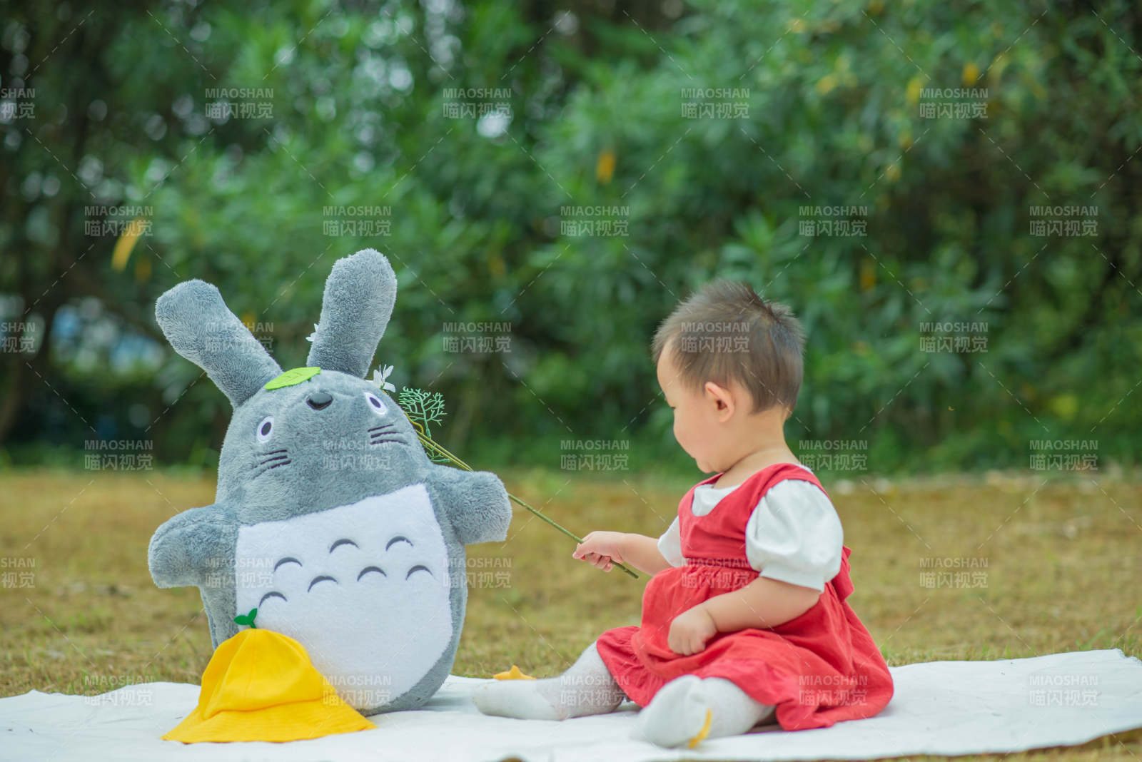 宝宝与龙猫的野餐时光图片