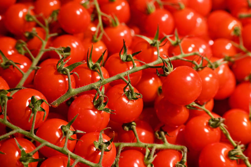 新鲜樱桃番茄图片