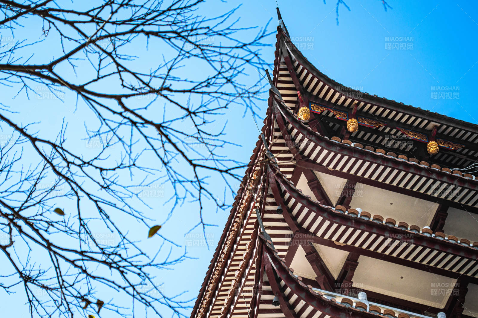 古塔冬日映蓝天图片