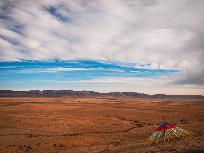 甘南草原上的彩色帐篷图片