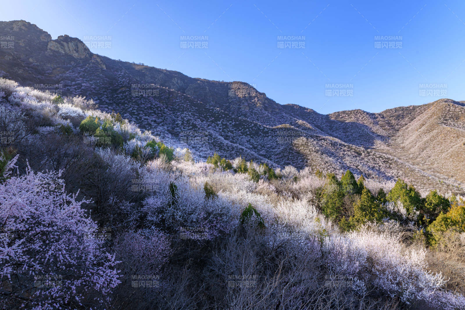 冬日山景 银装素裹图片