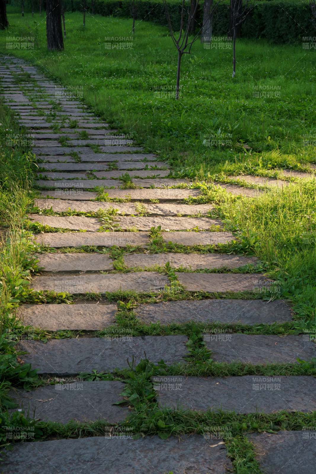 石阶小径图片