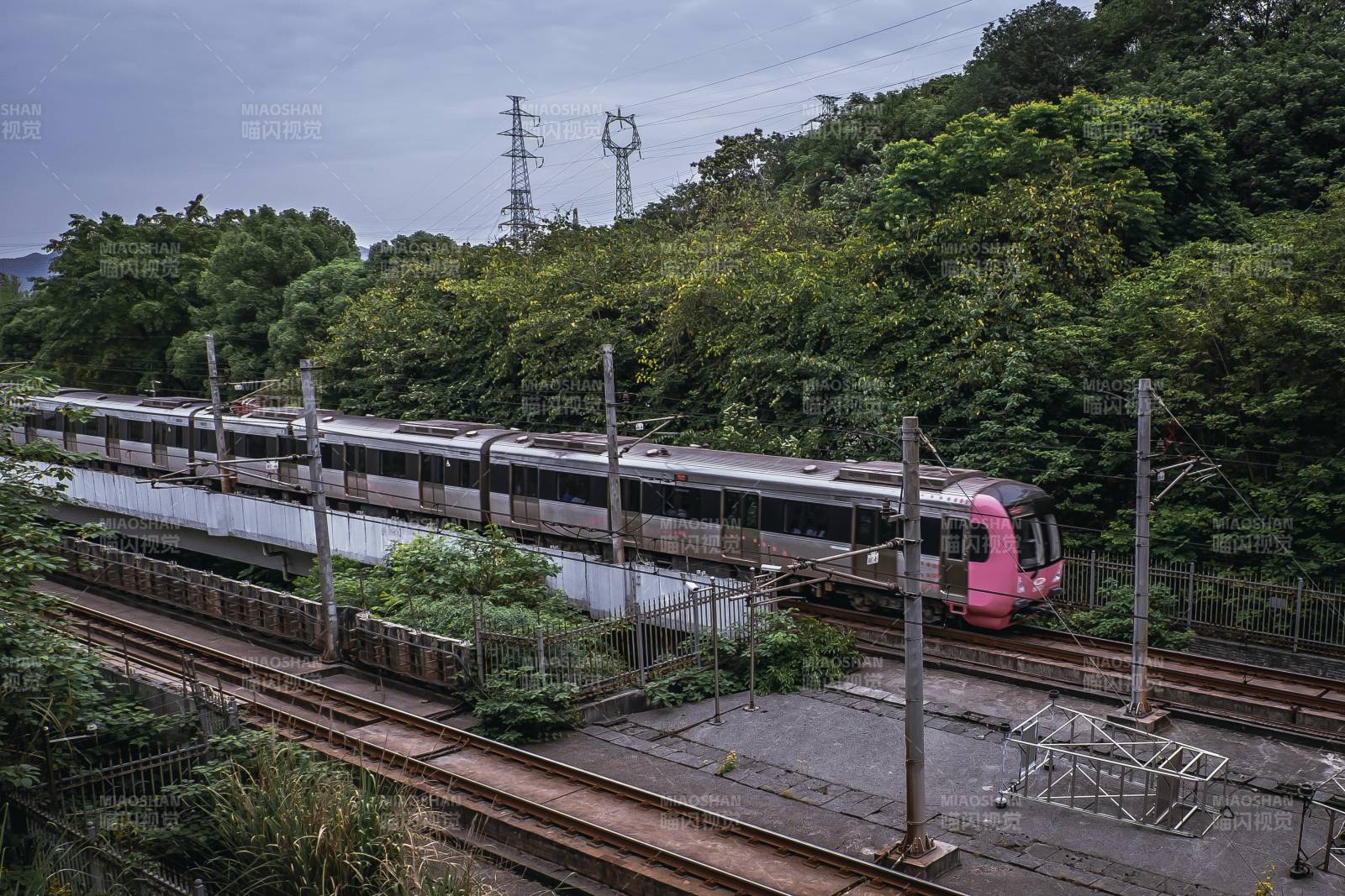 粉色火车穿越森林图片