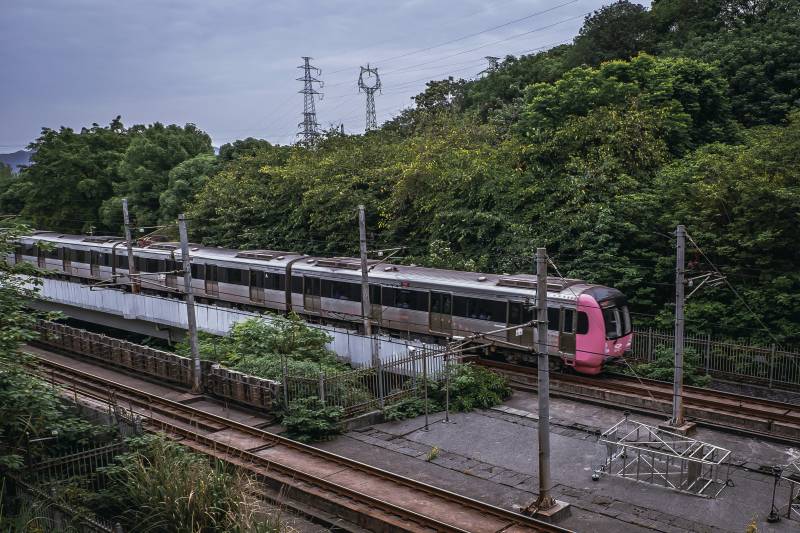 粉色火车穿越森林图片