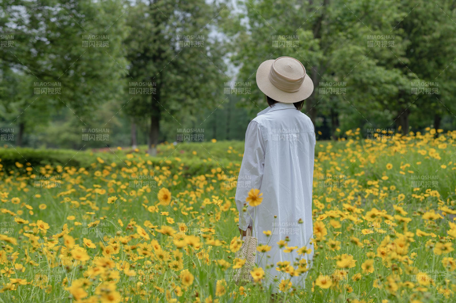 花海中的白色身影图片