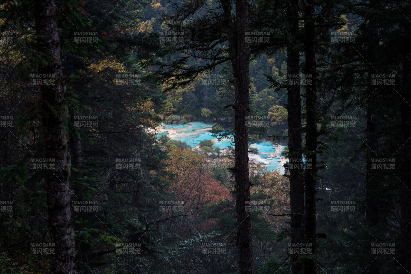 森林深处的蓝湖图片