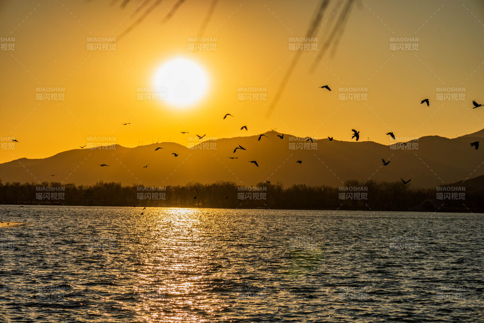 夕阳飞鸟湖光山色图片