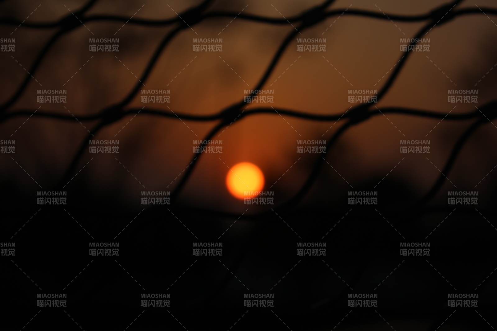 夕阳穿过网眼的美景图片