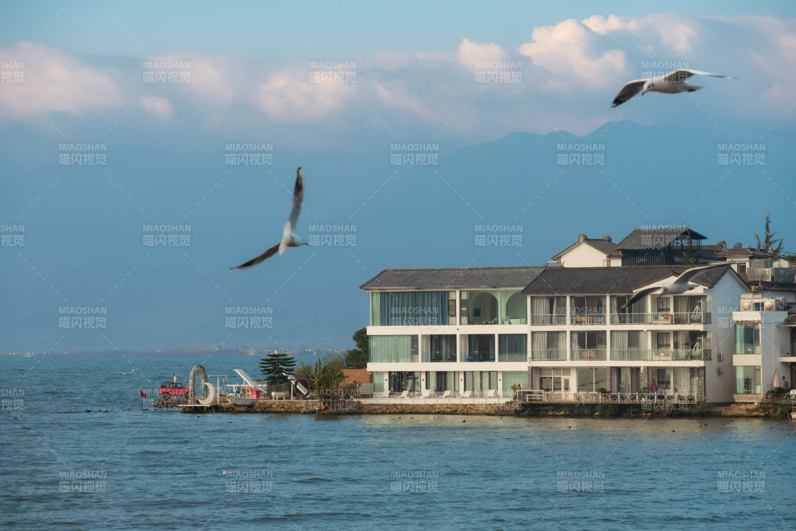 湖畔建筑与飞翔的海鸥图片
