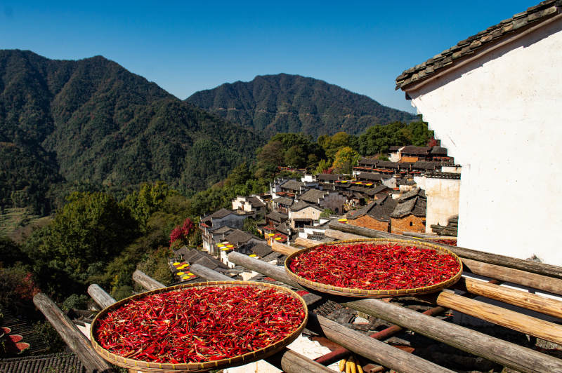 江西婺源篁岭辣椒晾晒图图片