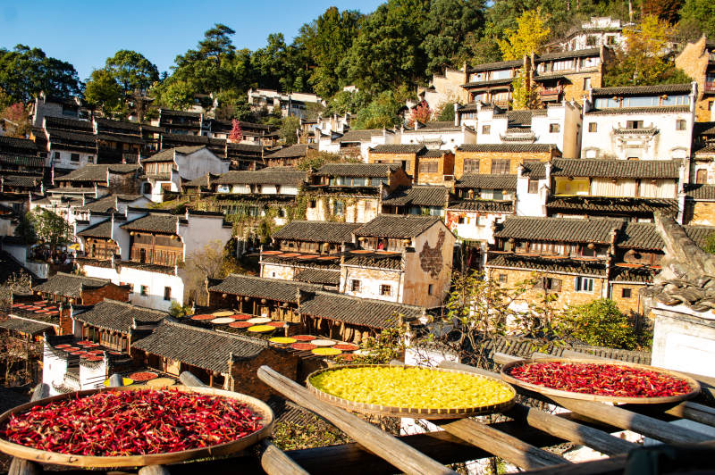 篁岭晒秋秋收景象图片