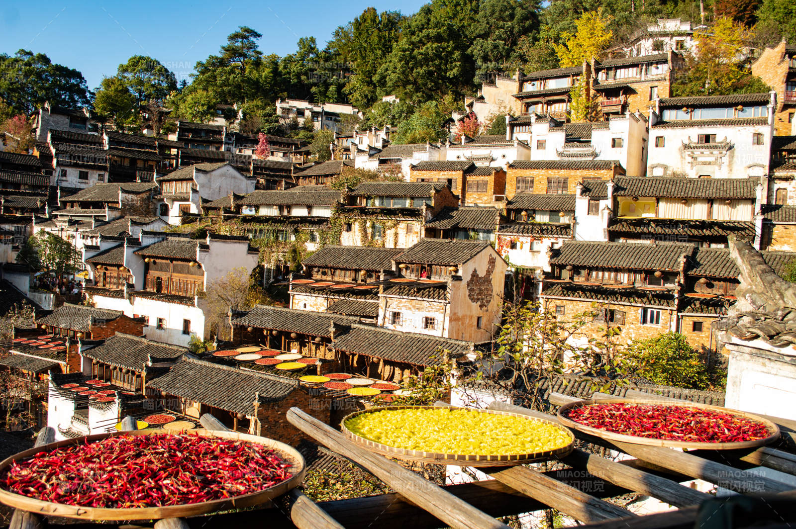 篁岭晒秋秋收景象图片