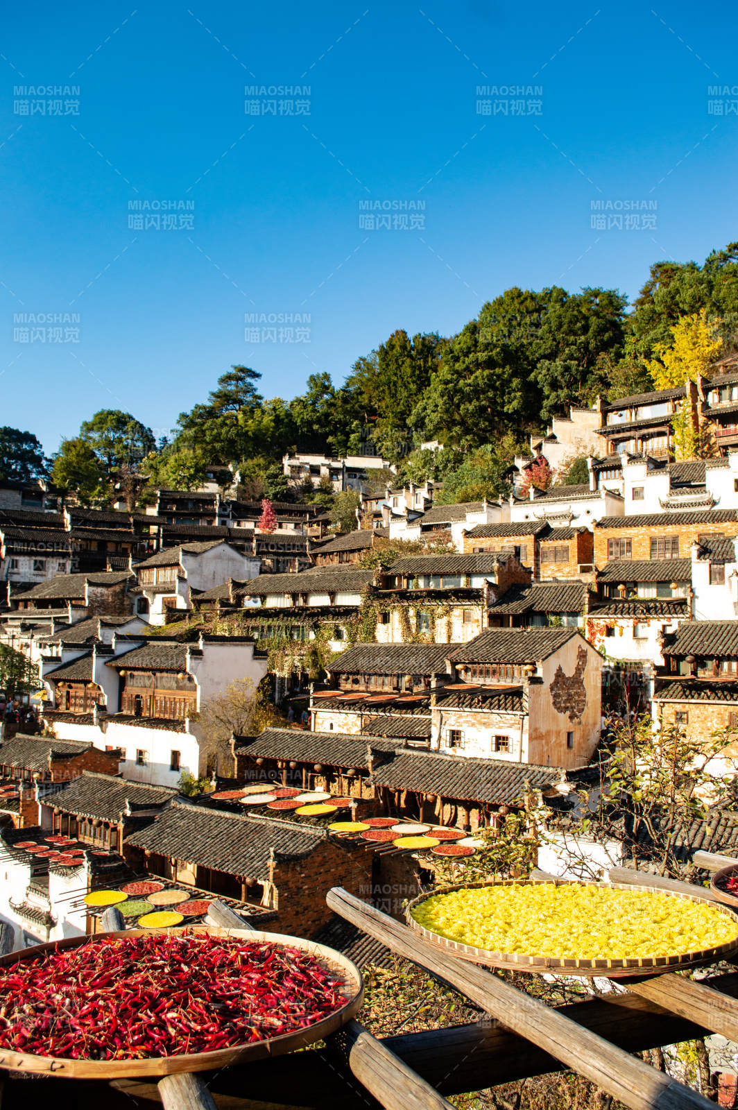 篁岭晒秋 秋收景象图片