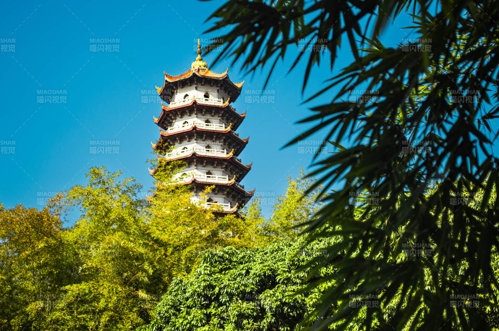 福州西禅寺图片