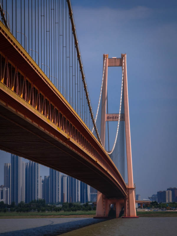 武汉杨泗港大桥图片