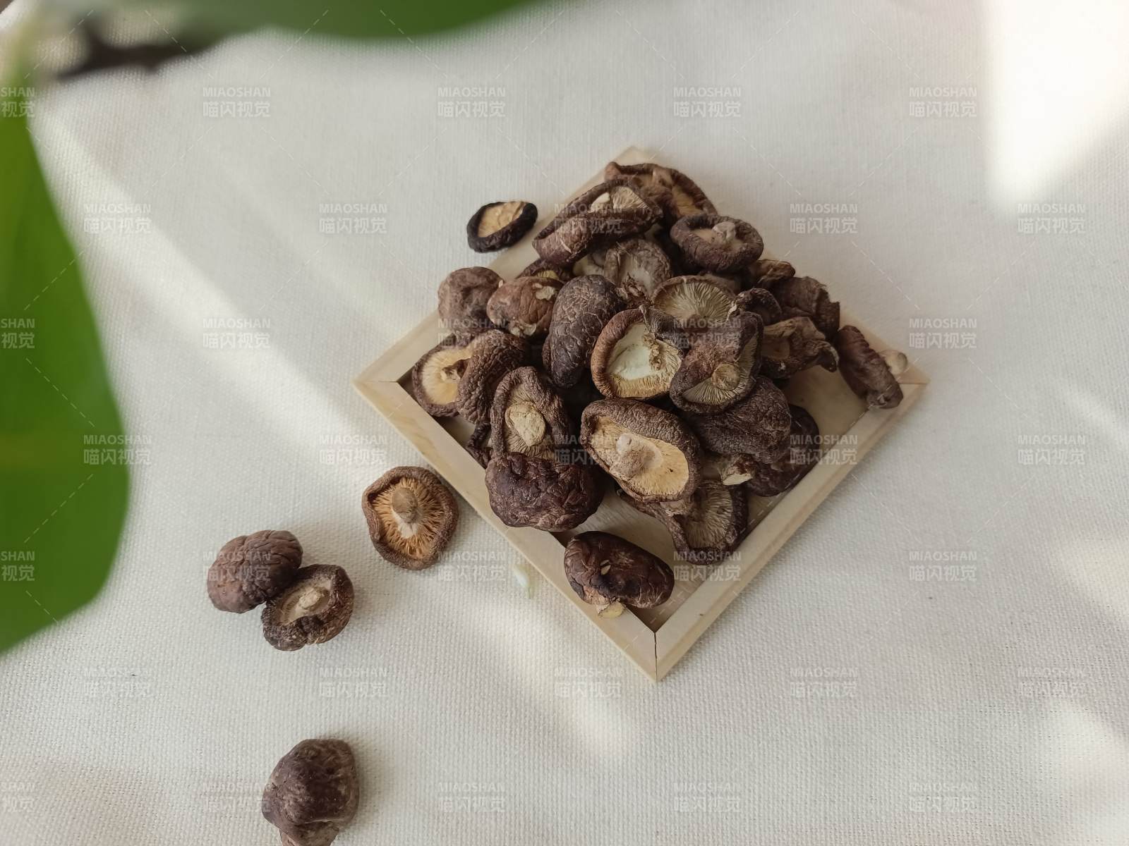 干香菇展示图片