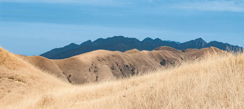 金黄草地与远山图片