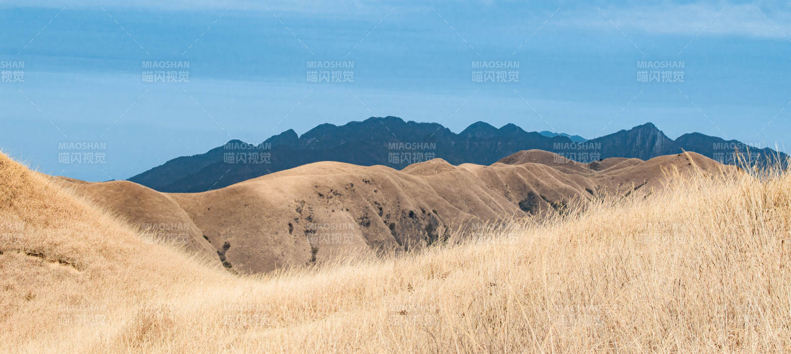 金黄草地与远山图片