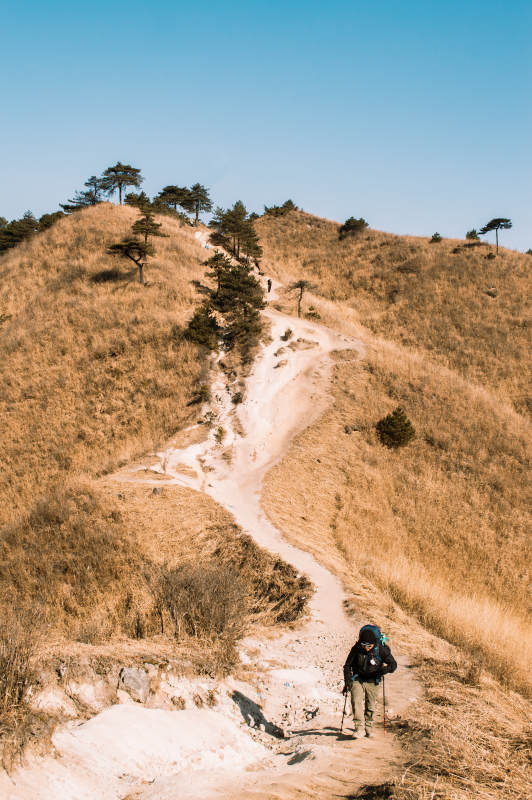 登山路上的孤独旅者图片