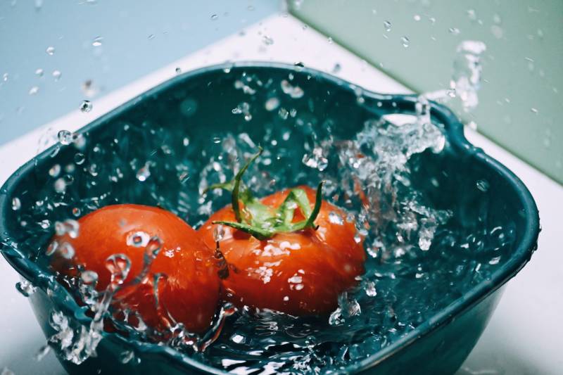 番茄落水瞬间图片