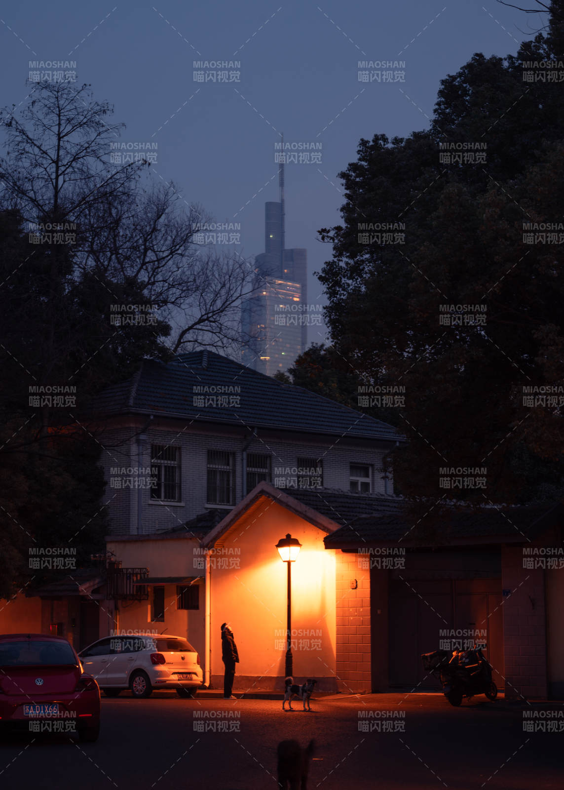 夜幕下的老街灯图片